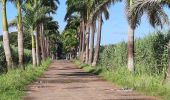 Tocht Stappen Le Lamentin - Plantation Gaigneron  - Photo 7