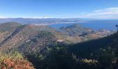 Excursión Senderismo Saint-Raphaël - Pic de l'ours, la Cadière, l'écureuil depuis Belle Barbe  - Photo 10