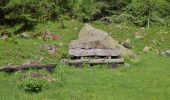 Tocht Te voet Marktgemeinde Matrei in Osttirol - Gletscherlehrweg Innergschlöss - Photo 8