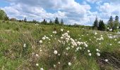 Trail Walking Waimes - baraque michel - botrange via fagne de polleur, retour via fagne wallonne  - Photo 19