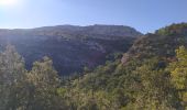 Trail Walking Plan-d'Aups-Sainte-Baume - plan d'aups ste baume - Photo 13