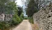 Excursión Bici de montaña Arpaillargues-et-Aureillac - 20210628 Arpaillargues Saint Quentin Saint Siffret - Photo 13