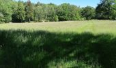 Trail Walking Pontgibaud - LA CHEIRE DE PONTGIBAUD - Photo 19