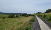 Tocht Stappen Sainte-Ode - Beauplateau Ste Ode 240823 - Photo 15