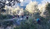 Randonnée Marche La Valette-du-Var - le tour du Coudon  - Photo 2