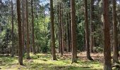 Randonnée Marche Jalhay - Solwaster sud - balade losange jaune - Photo 16