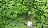 Tocht Stappen Erstein - polder sommerly Erstein  - Photo 2