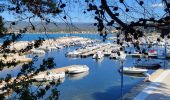 Trail Walking Saint-Cyr-sur-Mer - Le port d' Allon +370  - Photo 6