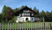 Tour Zu Fuß Faistenau - Rundwanderweg Hintersee - Photo 8