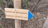 Trail Walking Les Arcs-sur-Argens - apie de Raynaud forêt des arcs - Photo 12