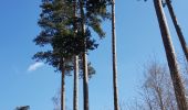 Tour Wandern Villers-Cotterêts - Abbaye, fontaine en forêt  - Photo 1