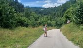 Excursión Senderismo Hauts de Bienne - Le trou bleu Morez - Photo 1