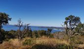 Excursión Senderismo Le Lavandou - les hauts de cavalière - Photo 5