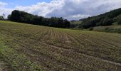 Randonnée Marche Yzeron - Izeron - Des cascades à la Madonne - Photo 6