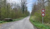 Trail Walking Lacroix-Saint-Ouen - en Forêt de Compiègne_49_les Molineaux_le Chemin et la Route de Béthisy - Photo 7