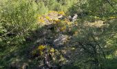 Trail On foot Unknown - Andorre : Parc de Sorteny - Photo 6