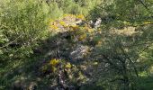 Percorso A piedi Unknown - Andorre : Parc de Sorteny - Photo 6