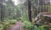 Excursión Senderismo Arbonne-la-Forêt - Forêt de Fontainebleau Tour de la Vierge et Le Hurlevent - Photo 12