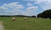 Tour Wandern Tinlot - Val Tibiémont  - Photo 1