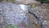 Randonnée Marche Ornans - Ornans cascade Boneille - Photo 1