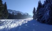 Excursión Esquí de fondo Bellecombe-en-Bauges - la dent des portes et sous le Trelod - Photo 9