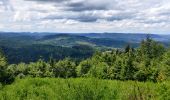 Trail Walking Sainte-Marie-aux-Mines - 2020-06-20 Marche Tete du Violu Col de Ste Marie - Photo 8