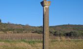 Trail On foot Fontès - Fontès - Vignes et Volcans - Le Céressou - Photo 10