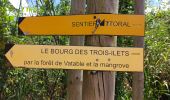 Randonnée Marche Les Trois-Îlets - Boucle via Constant et Fond Mulâtre  - Photo 1