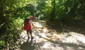 Trail Walking Gouloux - 190918-Morvan-1 - Photo 3