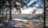 Randonnée Marche Theux - bronromme, premières neige hivers 23-24 - Photo 10