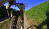 Percorso Mountainbike Genappe - houtain le val - Photo 2