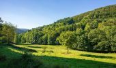 Tour Zu Fuß Mudau - Rundwanderweg Reisenbacher Grund 3 - Photo 3