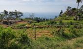 Tour Wandern Bandarawela - Sri-10 Bandarawela  - Iddalgasinne - Bambarakanda - Lyangahawela - Photo 6