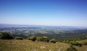 Trail Walking Castellet-en-Luberon - Mourre du Grd Lubéron, crêtes et versant Nord  - Photo 2