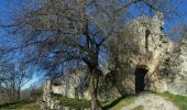 Tocht Stappen Allan - Allan Château de Rochefort en Valdaine - Photo 5