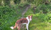 Trail Walking Aix-en-Issart - Sentier du paradis - Photo 3