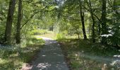 Trail Walking Vieux-Moulin - en foret de Compiègne_38_07_2021_sur la Route Eugénie - Photo 4