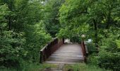 Trail Walking Durbuy - GR57 : BOMAL to MELREUX - Photo 4