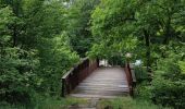 Tour Wandern Durbuy - GR57 : BOMAL to MELREUX - Photo 4