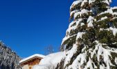 Tour Schneeschuhwandern Pralognan-la-Vanoise - Pralognan Cholière en boucle - Photo 6