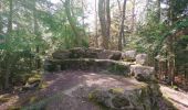 Excursión Senderismo Eguisheim - Boucle 3 châteaux / Espace Herzog / Sous le Hohlandsbourg  - Photo 2