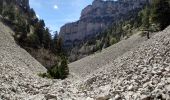 Randonnée Marche Châtillon-en-Diois - Cirque d'Archiane - Les Hauts Plateaux du Vercors - Photo 11