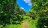 Trail Walking Bouillon - Balade à Ucimont - Photo 5