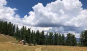 Excursión Senderismo Molines-en-Queyras - Col des Prés Fromage - Photo 3