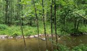 Tour Wandern Amel - La rivière d'or (9km) - Photo 6