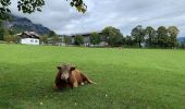 Tour Zu Fuß Ramsau am Dachstein - Panoramaweg West 