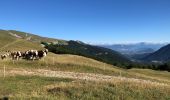 Tocht Stappen Tréminis - Le col de La Croix - Photo 4