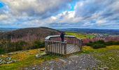 Tour Wandern Vielsalm - Balade à Salmchateau - Photo 10