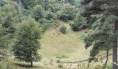 Randonnée Marche Aydat - Puy de Vichatel depuis la Garandie - Photo 5