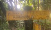 Trail Trail Petit-Bourg - IRA - Photo 6
